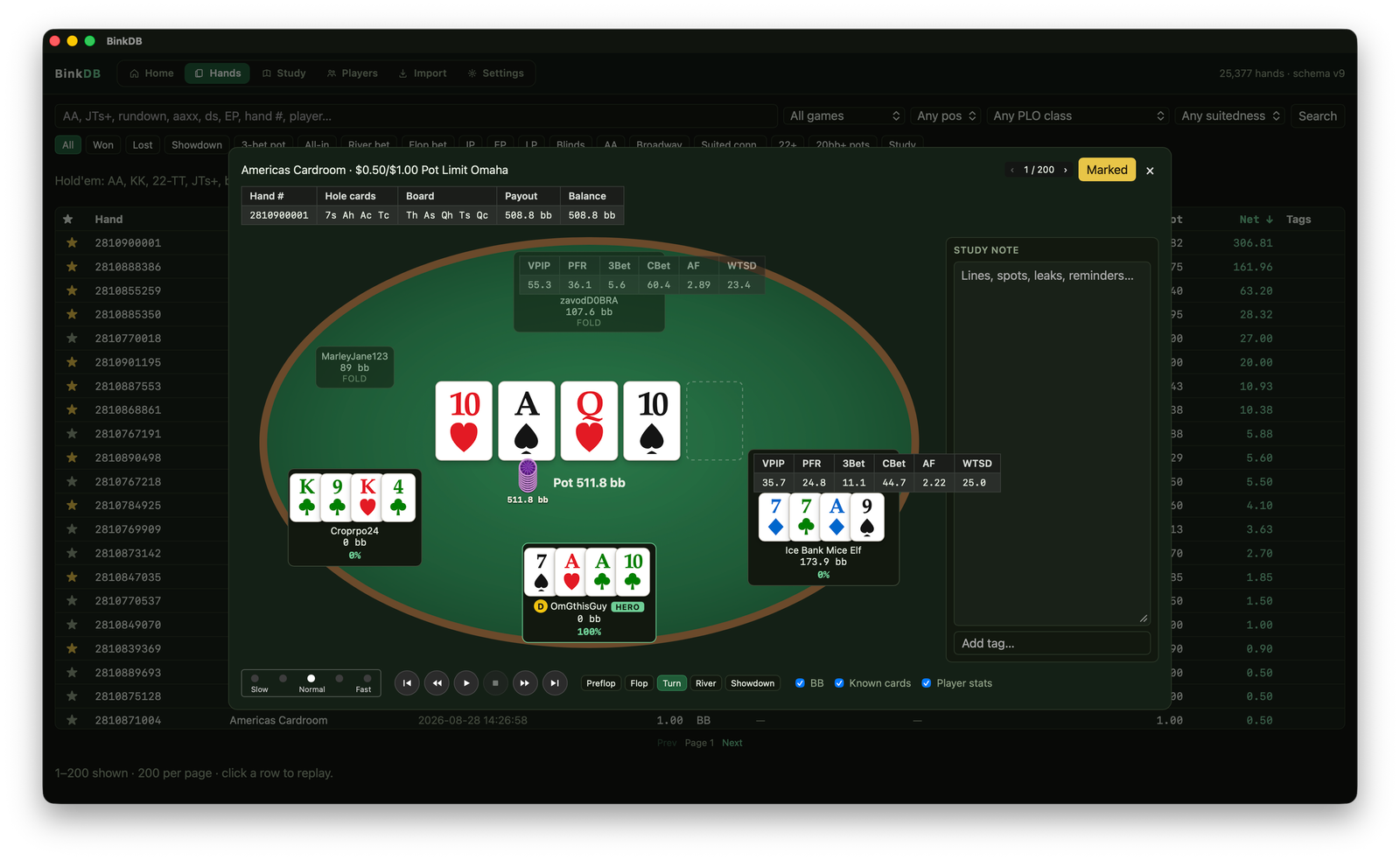 BinkDB hand replayer with felt table, action timeline, hole cards, and player-stat HUD